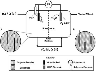 Metagenomic Analysis Reveals Microbial Interactions at the Biocathode of a Bioelectrochemical System Capable of Simultaneous Trichloroethylene and Cr(VI) Reduction